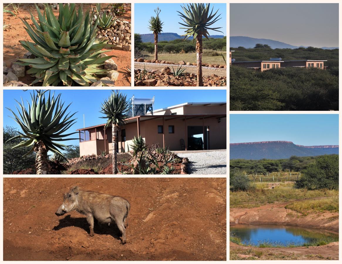 Cheetah View Lodge Otjiwarongo Buitenkant foto